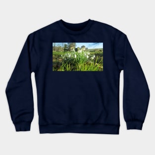 Fully Bloomed Snowdrops in Churchyard Crewneck Sweatshirt